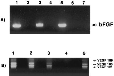 FIG. 7