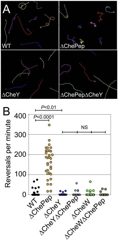 FIG 4 