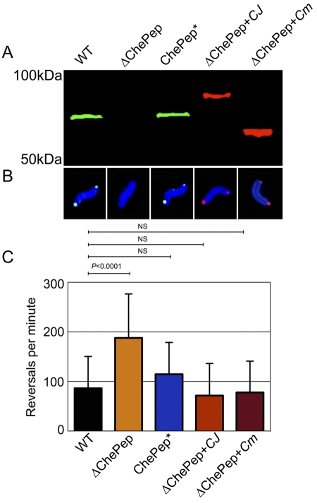 FIG 6 