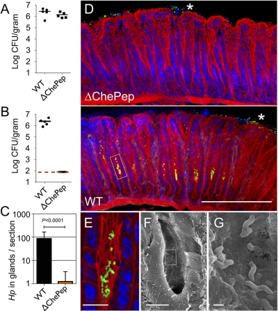 FIG 2 