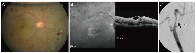 Fig. 2