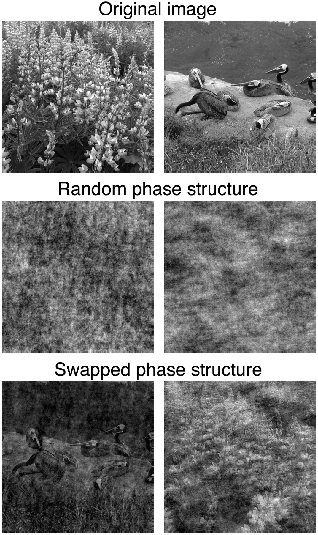 Figure 3: