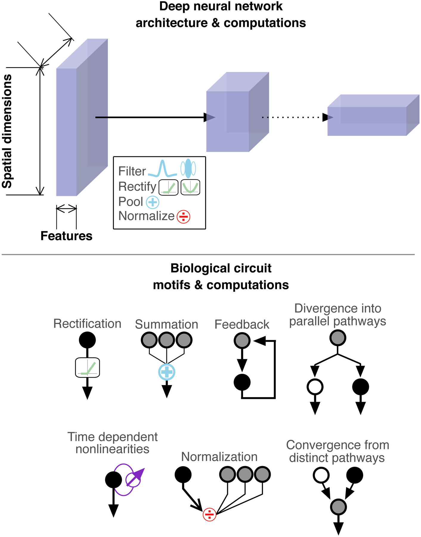 Figure 5: