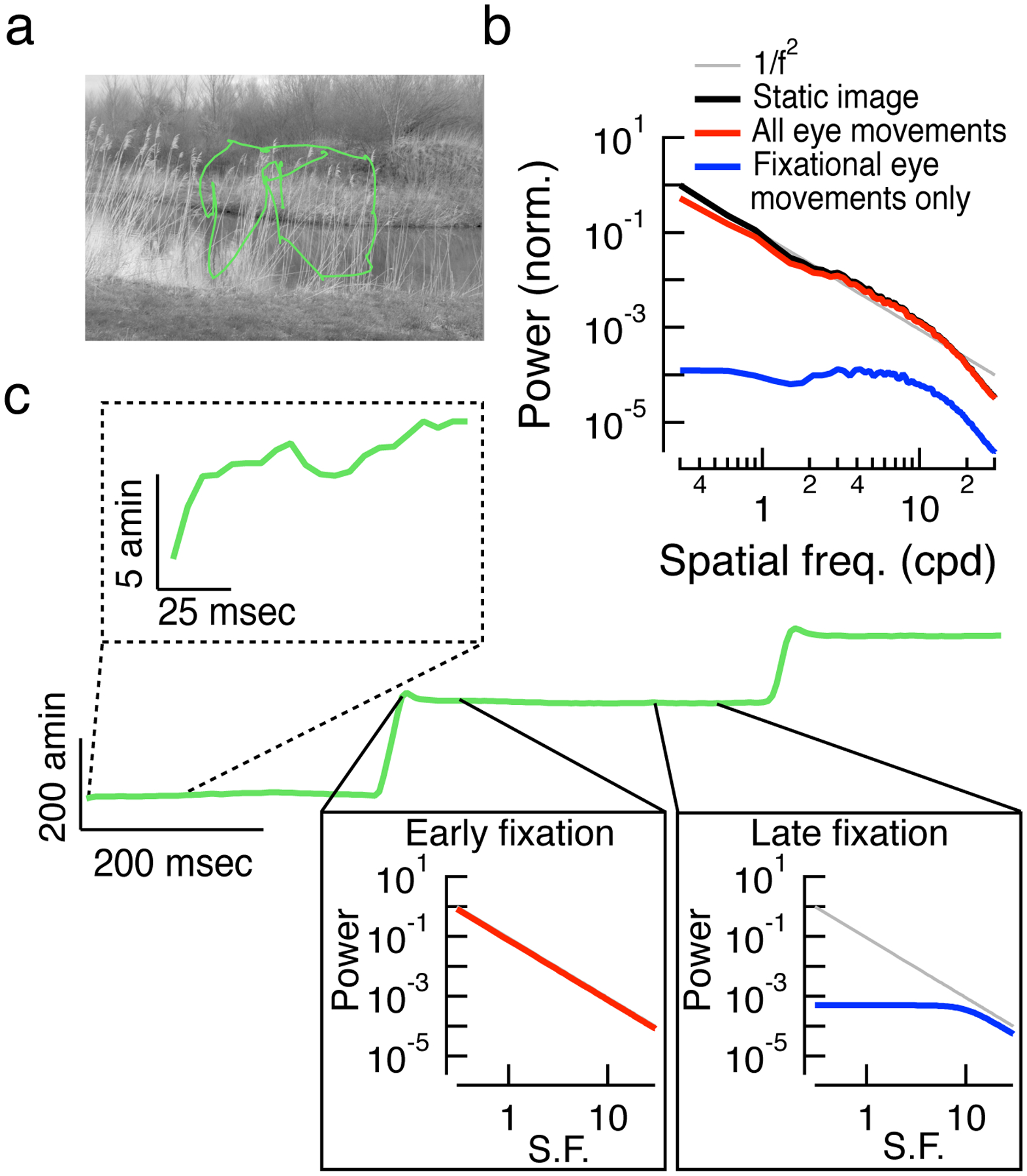 Figure 2: