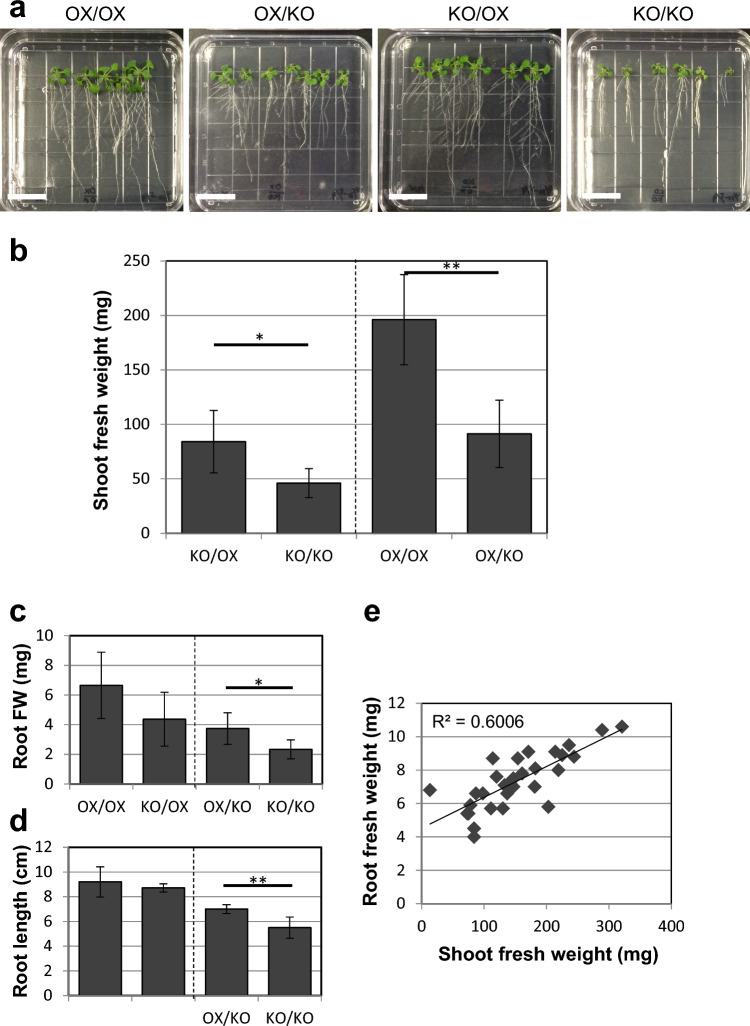 Fig. 3