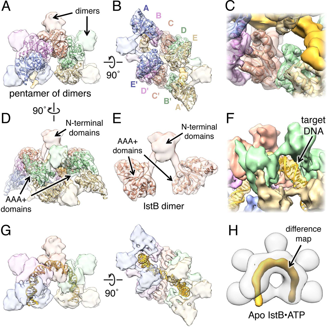 Fig. 4