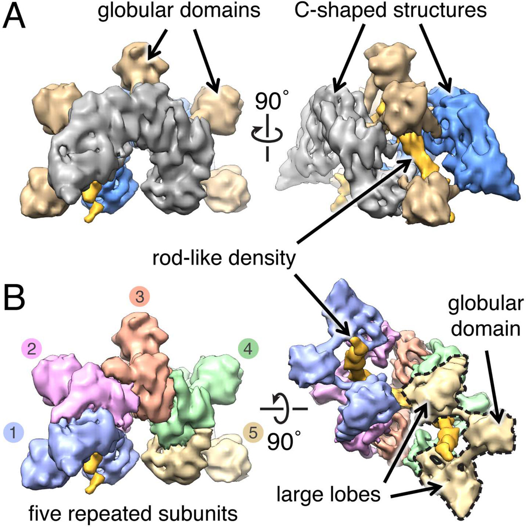 Fig. 3