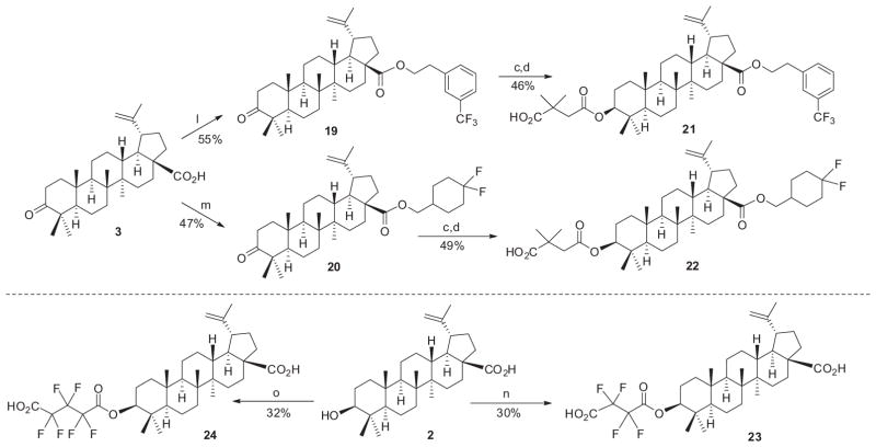 Scheme 3