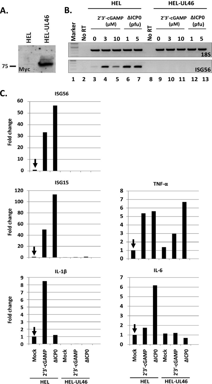 FIG 2