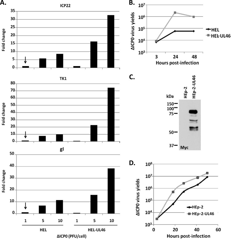 FIG 3