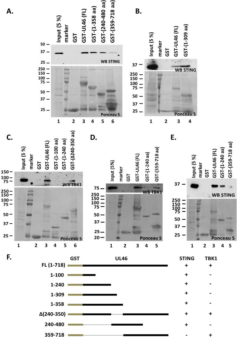 FIG 6