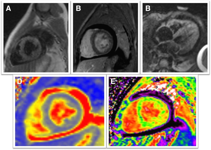 Fig. 3