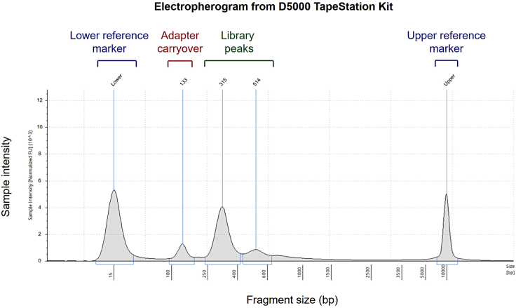 Figure 4