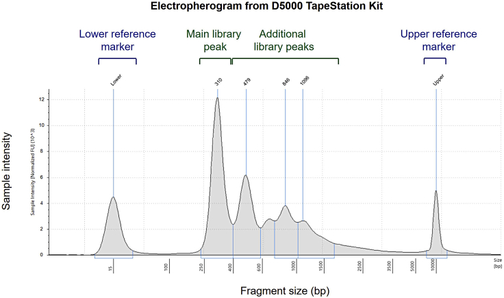 Figure 2