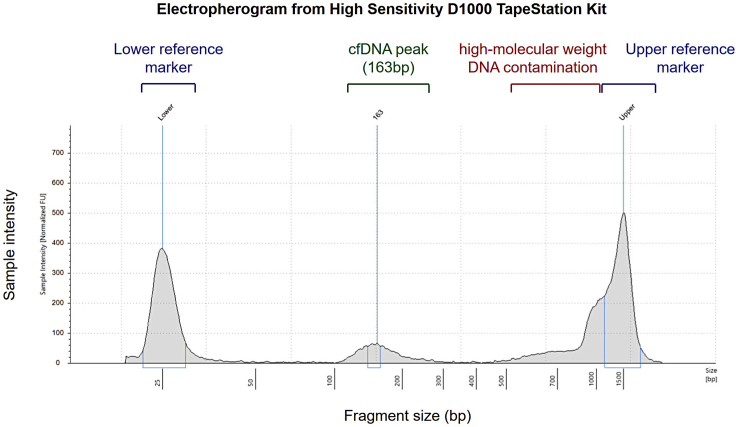 Figure 1