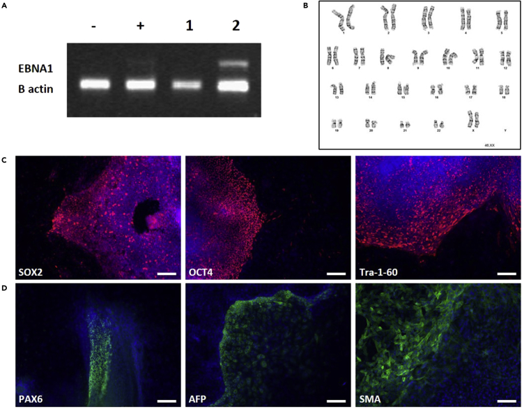 Figure 4