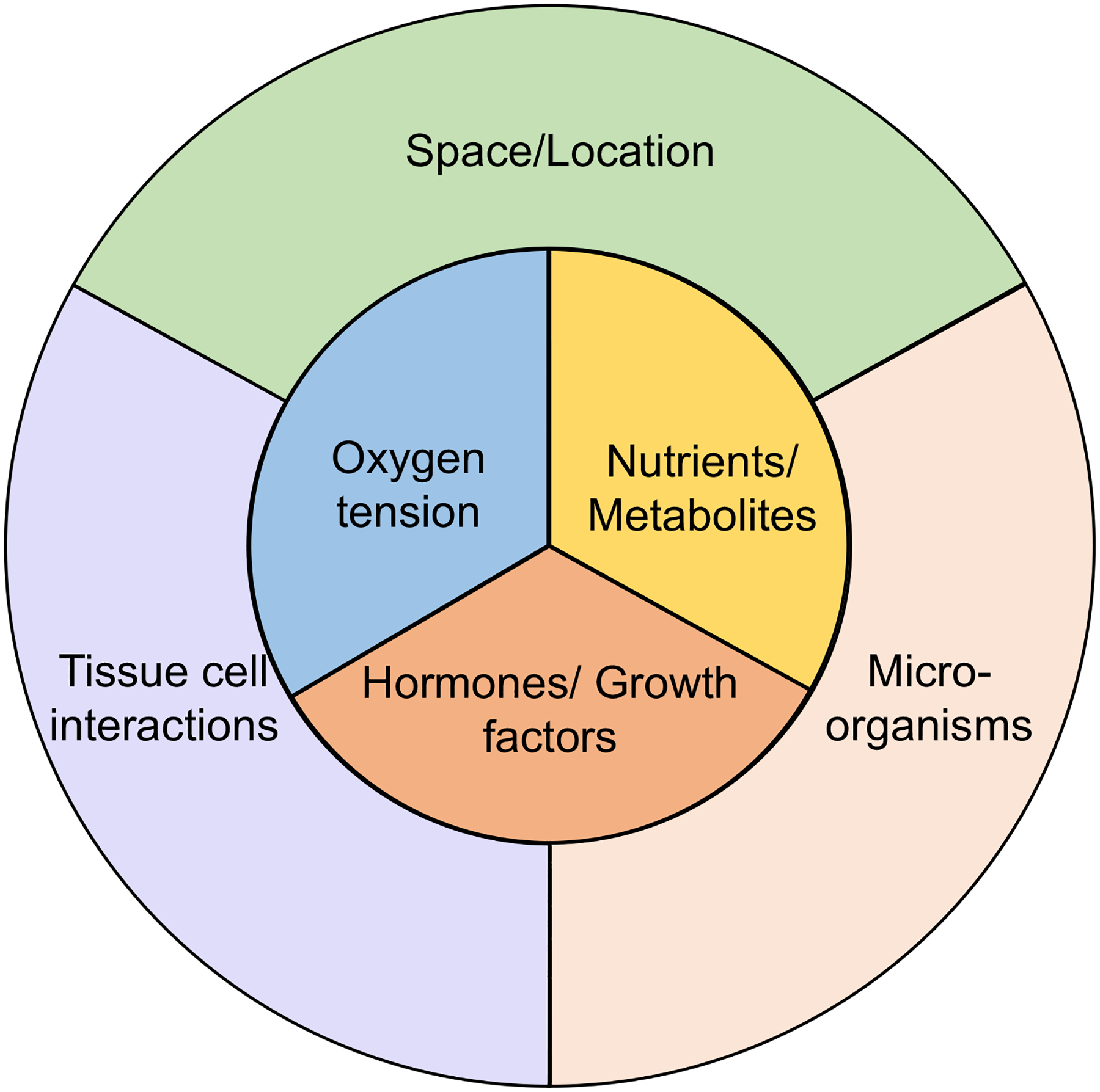 Figure 2: