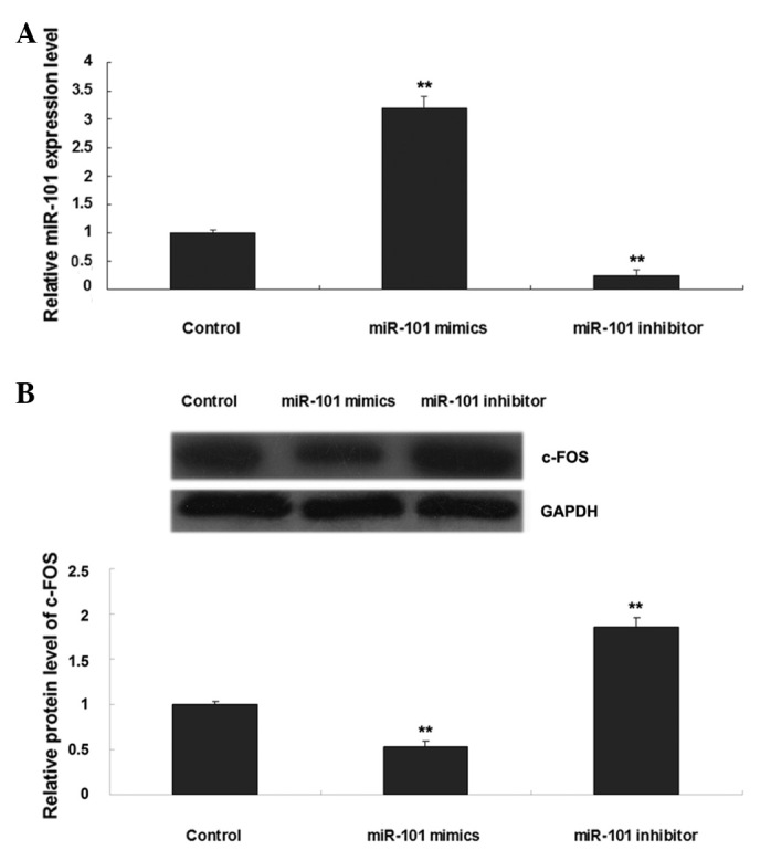 Figure 3.