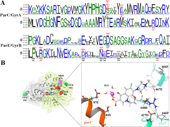 FIG 1