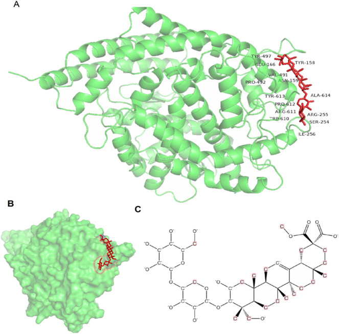 Fig. 3