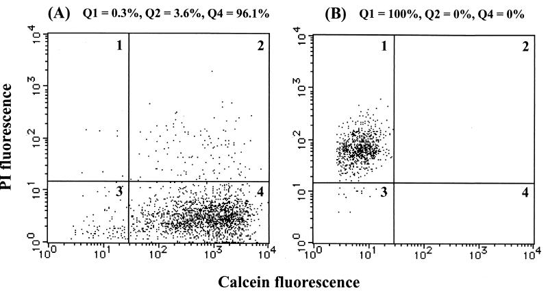 FIG. 3.