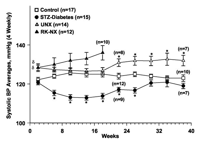 Fig. 2b