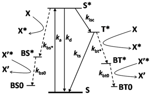 Figure 8