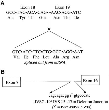 Figure  1