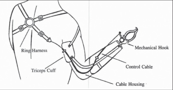 Figure 7)