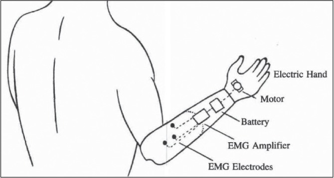 Figure 10)