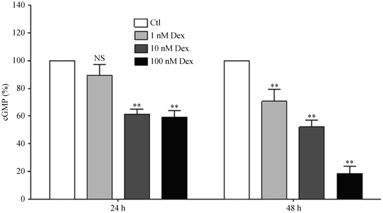 Figure 7.