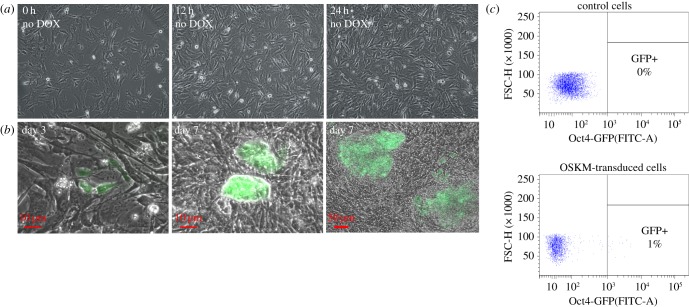 Figure 2.