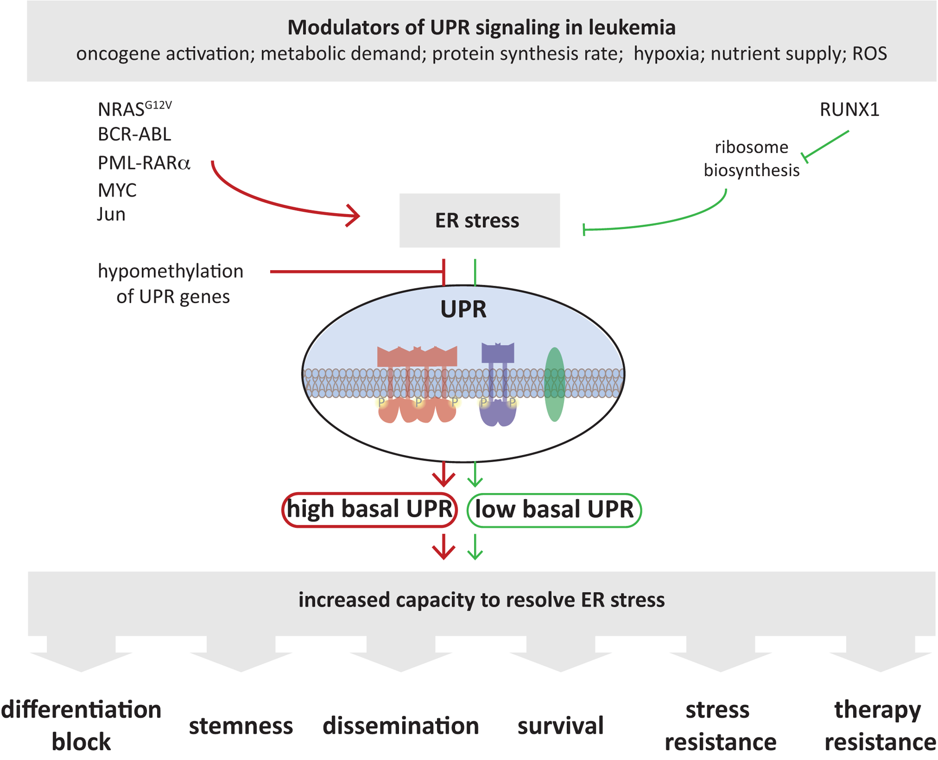 Figure 2: