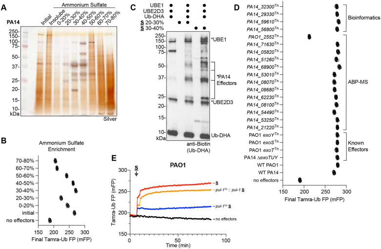 Figure 3: