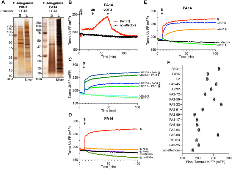 Figure 2: