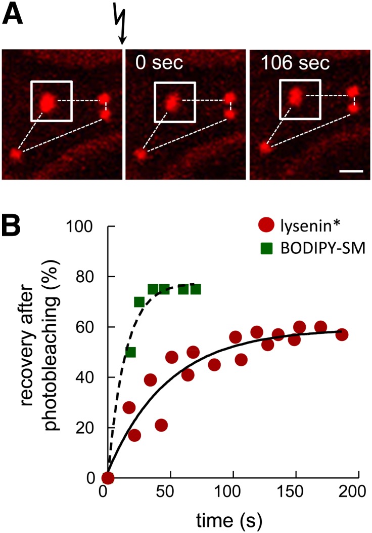 Fig. 6.