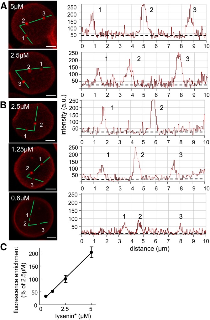 Fig. 3.