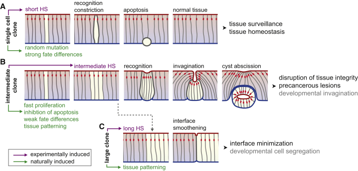 Figure 7