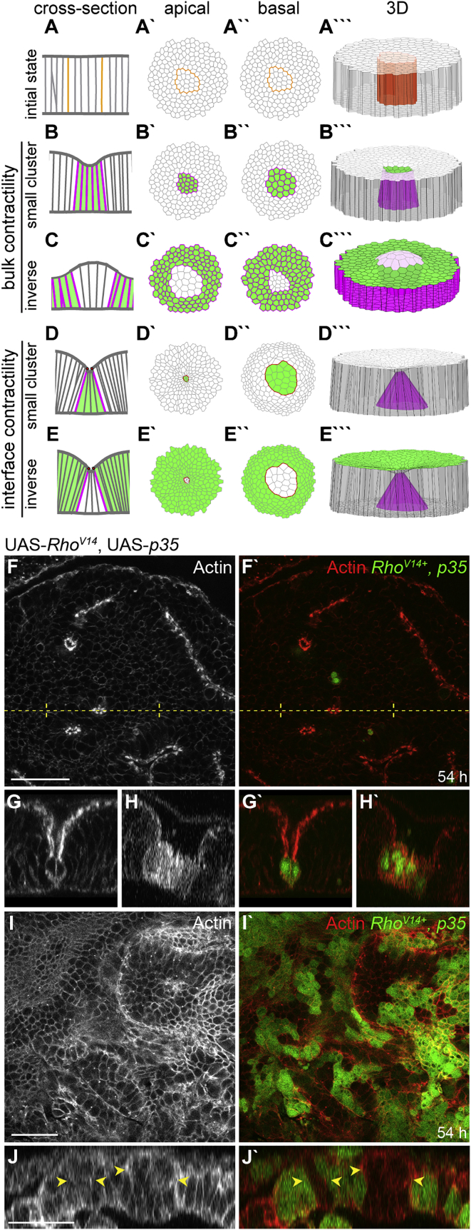 Figure 4