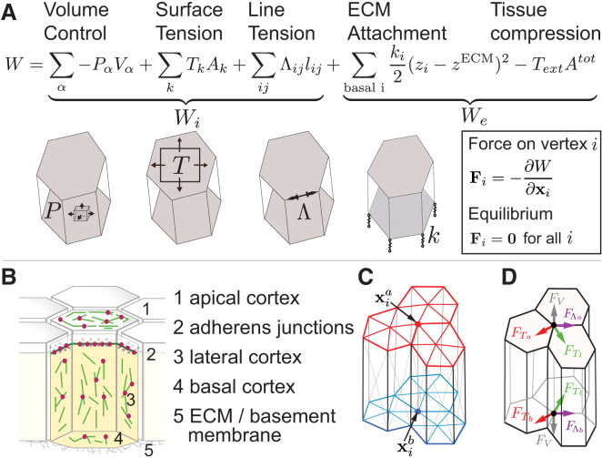 Figure 3