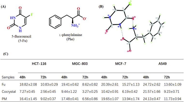 Figure 24