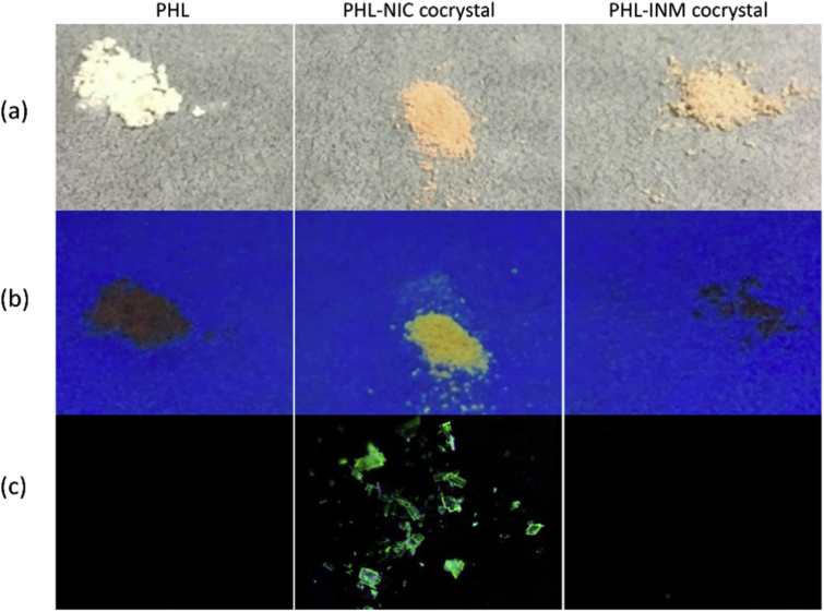 Figure 19