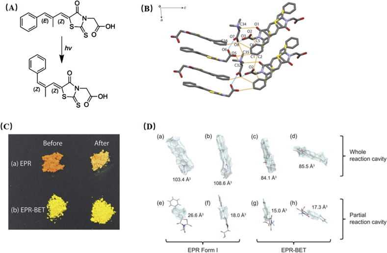 Figure 12