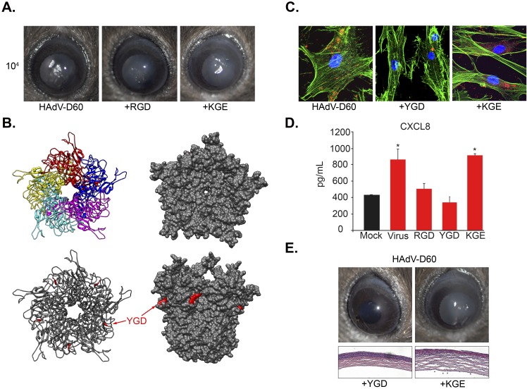 FIG 3 