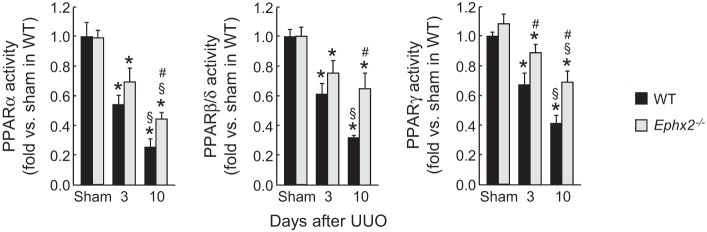 Fig. 9.