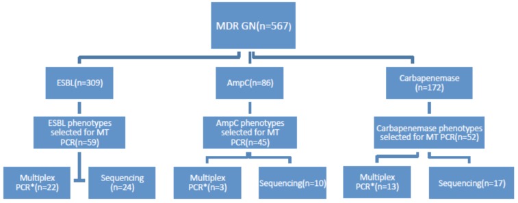 Fig. (1)