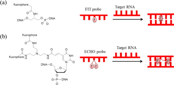 Fig. 12