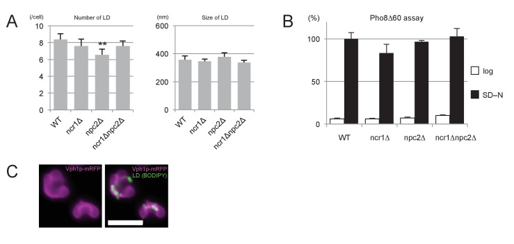 Figure 5—figure supplement 3.