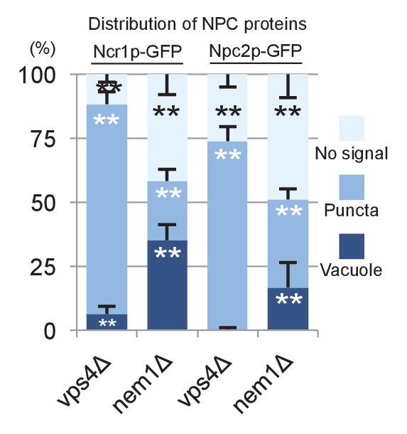 Figure 4—figure supplement 6.