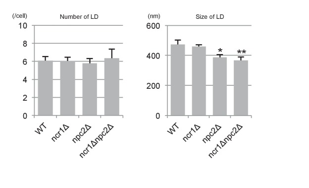 Figure 3—figure supplement 2.